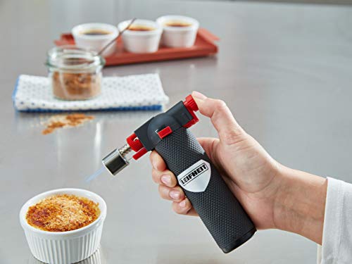 Leifheit ProLine - Flambeador de plástico, 22.5x15.1x7.3 cm, Color Negro