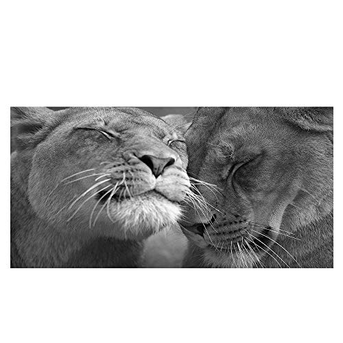 León africano carteles y murales de decoración del hogar en blanco y negro sobre lienzo fotos reales de animales salvajes en la sala de estar lienzo decorativo sin marco A87 70x100cm