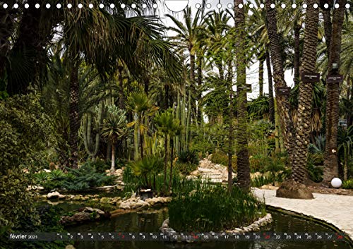 L'est de l'Espagne: Impressions de la Costa Brava à la Costa Blanca (Calendrier mensuel, 14 Pages ) (CALVENDO Places)