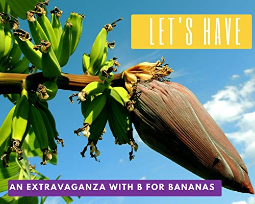 Let's Have an Extravaganza with B for Bananas! 2 Creative Stories.: Health is Wealth. Volume 4. (English Edition)