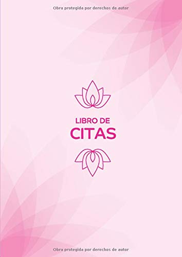 LIBRO DE CITAS : libro para salón, spas, peluquería y belleza cita semanal completa, organice su día, 120 páginas. 1 caja cada 30 minutos de 8 a 20 horas.