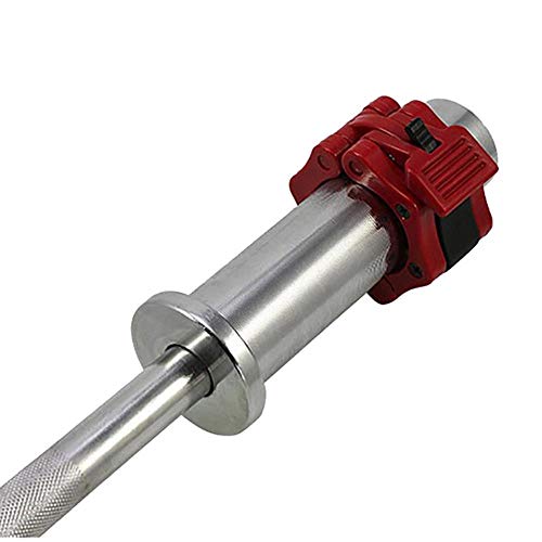 LIJ - Juego de 2 mancuernas de 25 mm para levantamiento de pesas, con cierre de mosquetón, para la musculación de fitness, collares estándar de gimnasia, hebilla de mandíbula