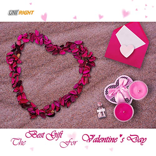 Limpieza Facial Anti-Edad,Uni-Right Silicona eléctrica Limpiador Facial y masajeador a prueba de agua Sonic Face Massage SPA, Face Polish and Scrub (Rosa roja)