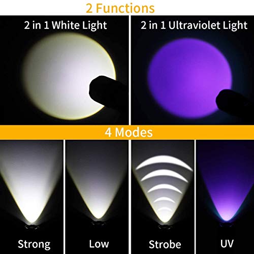 Linterna Táctica y UV 2 en 1, morpilot 2 Paquete Linterna LED 500LM, Linterna Ultravioleta, Luz UV con 4 Modos, Zoom IN/OUT, 395nm, Aluminio, Anti-caída, Impermeable IPX4, 3 Baterías Incluidas