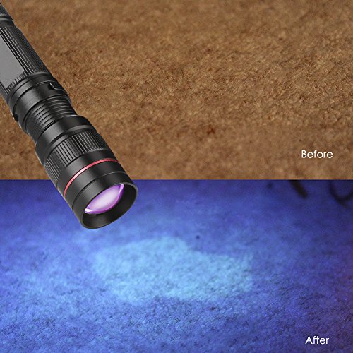 Linterna Ultravioleta, LED Linterna UV luz Negra, Luz Ultravioleta, UV Flashlight 395 nm Luz Lampara uv, Enfoque escalable, Mascotas orina y Mancha Detector Quitamanchas, Detector Billetes Falsos