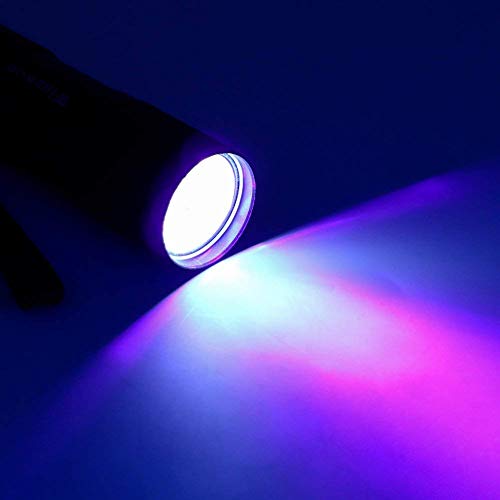 Linterna Ultravioleta, Winzwon Linterna UV Flashlight 9 LED UV Lampara Ultravioleta Detectar manchas de orina de mascotas, Luz negra 395nm(3 pilas AAA incluidas)