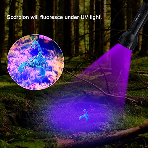Linterna UV con 51 LED, Detector Ultravioleta de 395 nm para Detectar Orina de Mascotas en Alfombra, Flashlight Portable para Manchas de Cocinas, Caza Escorpión(51 LEDs)