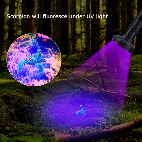 Linterna UV Ultravioleta LED 395nm, Flashlight Blacklight Lámpara Luz Negra Portátil Detectar Orina de Mascotas Perros Gato, Escorpión (Latest 100 LEDs)