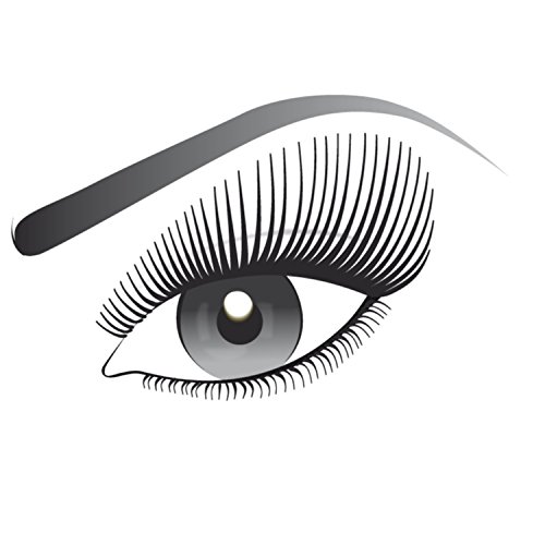 L'Oreal Paris False Lash Rimel telescópico, negro