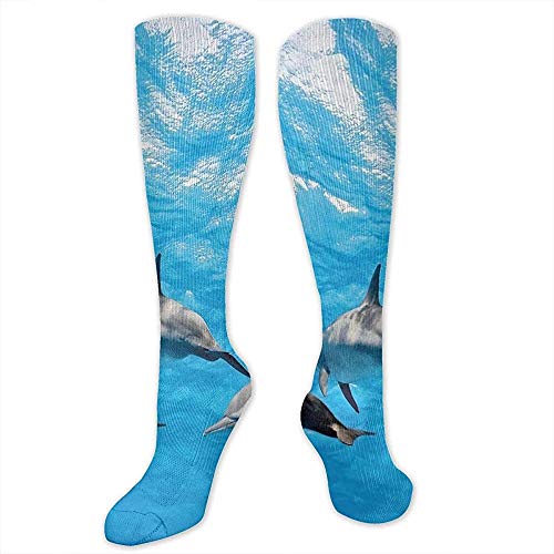 lucies Calcetines, su horario de verano Arreglo tropical colorido Surf Holiday Exotic Palm Tree Pattern