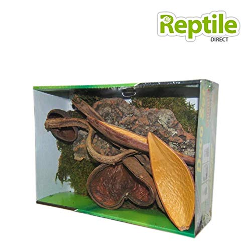Lucky Reptile Life Experience - Conjunto de decoración de terrario de plástico de selva