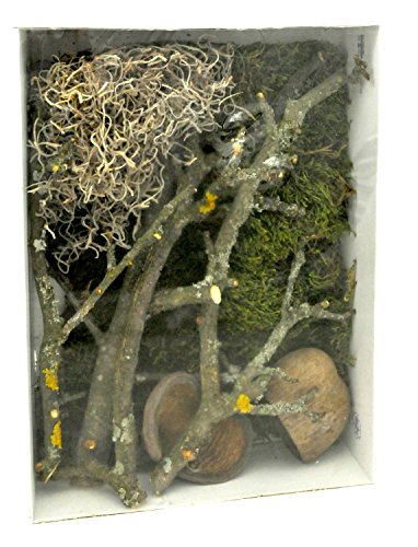 Lucky Reptile Life Experience - Conjunto de decoración de terrario de plástico de selva