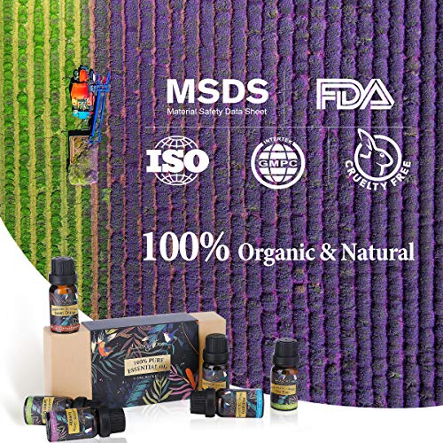 Luckyfine Aceites Esenciales Naturales para Humidificador 6 x 10 ml, Aceites Esenciales 100% Puros para Difusor, Ayuda a Dormir con Calma, Regalo Ideal para Amigos y Familiares para Todas Ocasiones