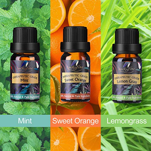 Luckyfine Aceites Esenciales Naturales para Humidificador 6 x 10 ml, Aceites Esenciales 100% Puros para Difusor, Ayuda a Dormir con Calma, Regalo Ideal para Amigos y Familiares para Todas Ocasiones