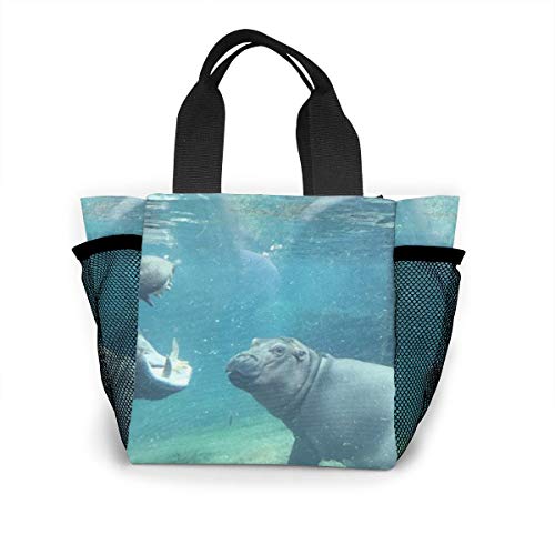 Lunch Box Hippo Bag Organizer For Women Men Teens, Office School Work Lunch Organizer Premium Handbag Portable Leakproof Snacks Organizer