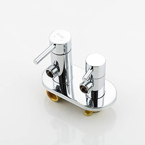 Lxyfc Juego for bidé portátil, el Bronce Pared bidé Caliente y Agua fría, bidé, Ducha Manguera de Cinta de 39 Pulgadas, for pañales for bebés y pañales, o Mascotas TB