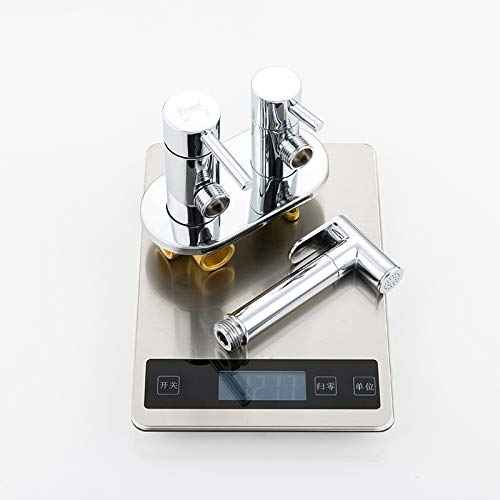 Lxyfc Juego for bidé portátil, el Bronce Pared bidé Caliente y Agua fría, bidé, Ducha Manguera de Cinta de 39 Pulgadas, for pañales for bebés y pañales, o Mascotas TB