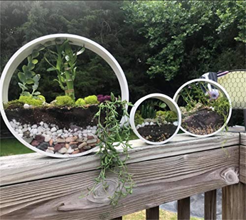 Macetas Colgantes Pared Modernas,Ronda Metal Maceta para Flores con Soporte Extraíble para Sala de Estar,Balcón,Jardín Montaje de Pared Macetero Plantador con Orificio de Drenaje