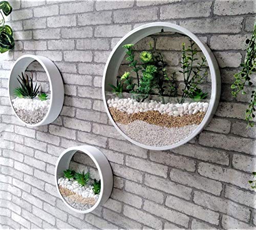 Macetas Colgantes Pared Modernas,Ronda Metal Maceta para Flores con Soporte Extraíble para Sala de Estar,Balcón,Jardín Montaje de Pared Macetero Plantador con Orificio de Drenaje