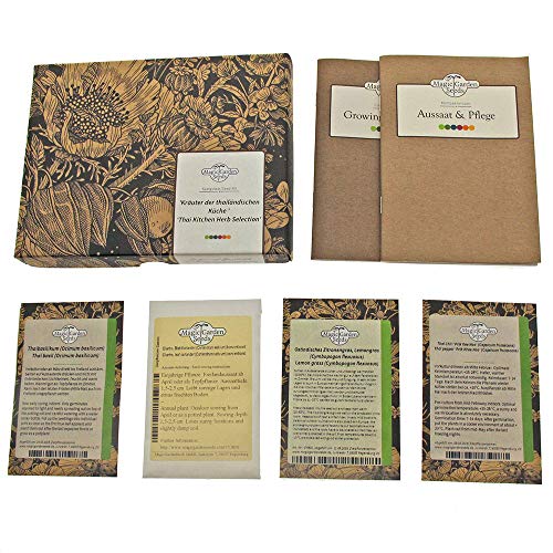 Magic Garden Seeds Hierbas de la Cocina tailandesa - Kit Regalo de Semillas con 4 Especias