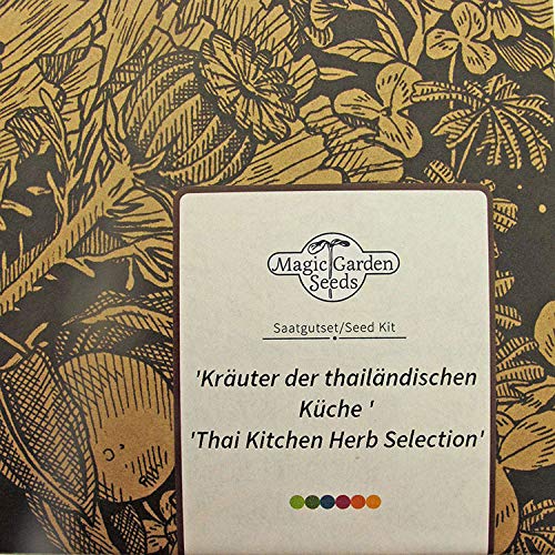 Magic Garden Seeds Hierbas de la Cocina tailandesa - Kit Regalo de Semillas con 4 Especias
