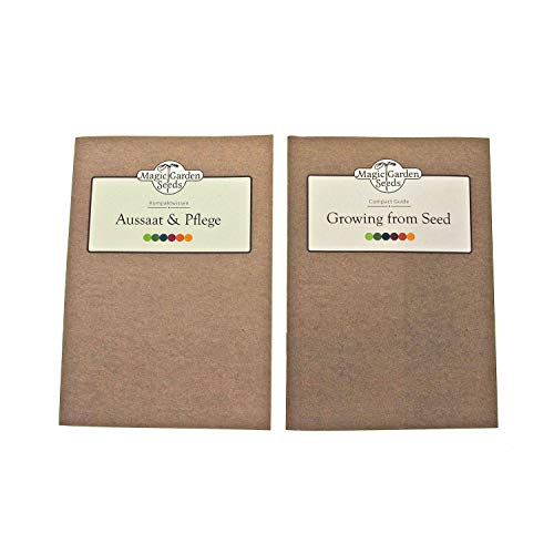 Magic Garden Seeds Hierbas de la Cocina tailandesa - Kit Regalo de Semillas con 4 Especias