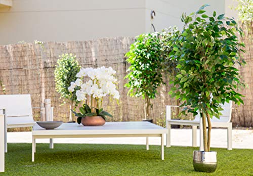Maia Shop 1225 Ficus Troncos Naturales, Elaborados con los Mejores Materiales, Ideal para Decoración de hogar, Árbol, Planta Artificial (105 cm), Mixtos, 150 cm