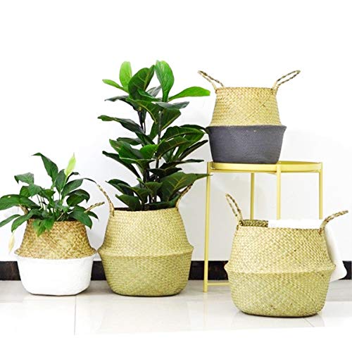 Mallalah Cesta de Almacenamiento Cesta de Mimbre de Flor Cesta de Lavandería Plegable Trenzada Suciedad en Mango de Pasto Marino 3 Tamaños para Elegir (blanco, S)