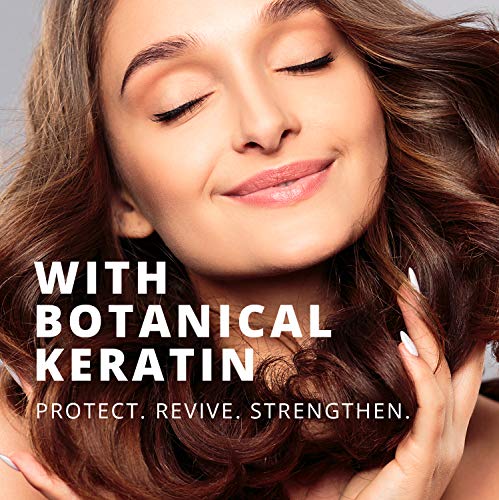 maple holistics Aceite de argán Champú, libre de sulfatos - Con argán, jojoba, aguacate, almendra, hueso de melocotón, semilla de camelia, y la queratina - 100% seguro Cabellos Teñidos - para los hombres, mujeres y Adolescentes - Todo tipo de cabello - má