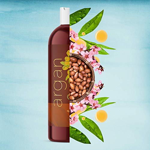 maple holistics Aceite de argán Champú, libre de sulfatos - Con argán, jojoba, aguacate, almendra, hueso de melocotón, semilla de camelia, y la queratina - 100% seguro Cabellos Teñidos - para los hombres, mujeres y Adolescentes - Todo tipo de cabello - má