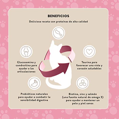 Marca Amazon - Lifelong Complete- Alimento seco completo para gatos adultos con salmón y arroz, 1 x 3 kg