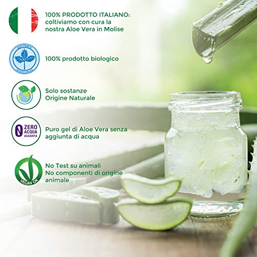 Mascarilla para el pelo con Aloe Vera Bio