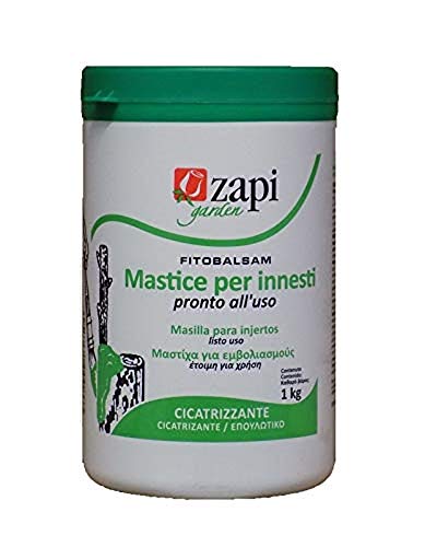 Masilla Injertos Gr.1000 Zapi [Zapi]