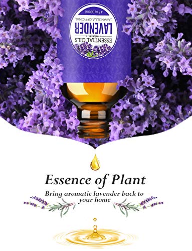 masy Aceite Esencial de 100% Puro Aceite Perfumado (Lavanda, 120ml)