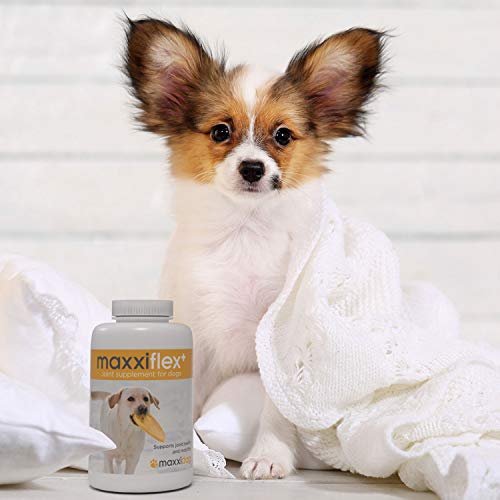maxxidog - maxxiflex+ Suplemento avanzado para Las articulaciones del Perro - Glucosamina, condroitina, MSM, ácido hialurónico, Garra del Diablo, bromelina, cúrcuma - 120 sabrosas tabletas