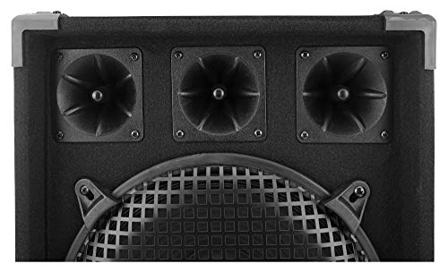McGrey DJ-2222 - Altavoz para DJ o sala de fiesta 1000 W