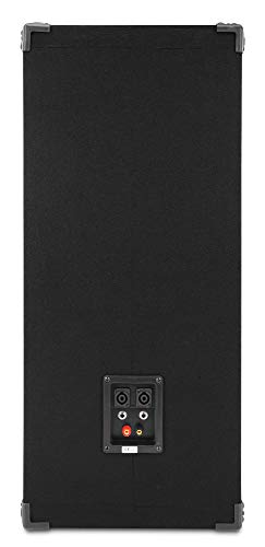 McGrey DJ-2222 - Altavoz para DJ o sala de fiesta 1000 W