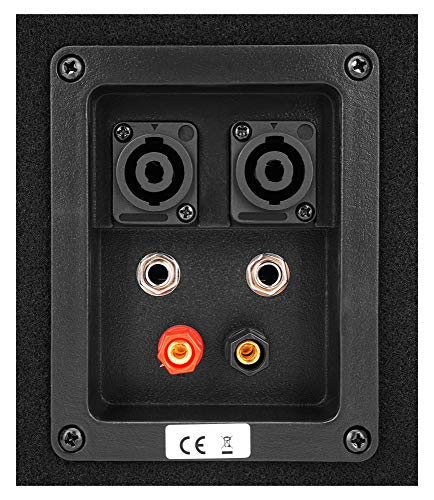 McGrey DJ-2222 - Altavoz para DJ o sala de fiesta 1000 W