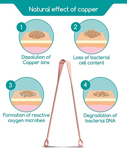 Medi Grade [2pc] Raspador de Lengua de Cobre - Limpiador de Lengua Antimicrobiano - Previene la Halitosis - Elimina las Bacterias para una Mejor Higiene Oral - Limpiador Lingual Ayurvédico