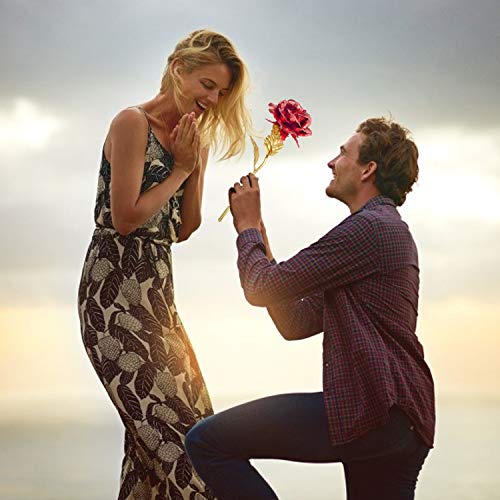 MEIWO 24K Gold Rose, Long Stem Gold Rose con Love Letter Display Stand, cumpleaños, Día de San Valentín, Día de la Madre, Aniversario de Boda Home Decor(Rojo)