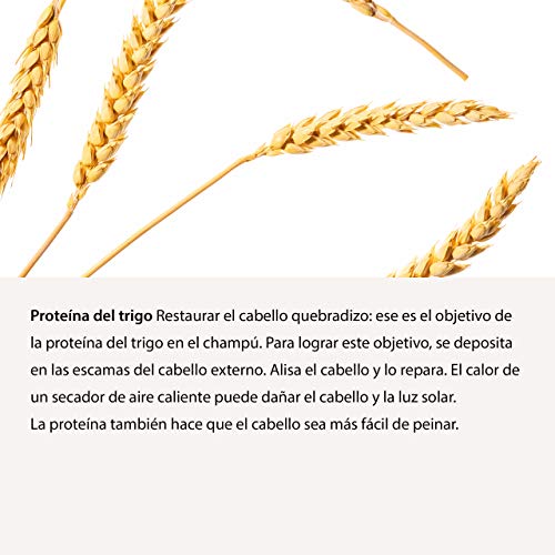 MeMademoiselle Color Shampoo para cabello teñido I Champú protector del color I Champú para cabello teñido I Made in Germany (250 ml)