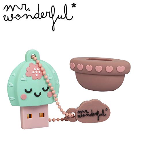 Memoria USB 16 GB Cactus – Memoria Flash Drive 2.0 Original Mr Wonderful, Tribe FD038503