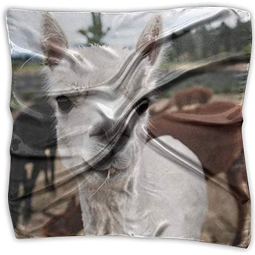 Merle House Alpaca Lavanda Granja Mujer Impreso Cuadrado Bufanda Tocado Cuello Satén Bufandas Abrigo Chal Pañuelo