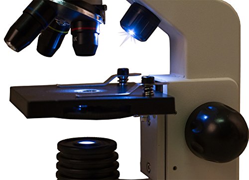 Microscopio Escolar Levenhuk Rainbow 2L Moonstone/Blanco para Niños, con Kit de Experimentos, Iluminación Superior e Inferior por LED para Observar Toda Clase de Muestras