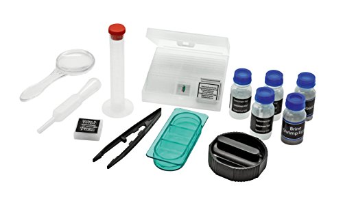 Microscopio National Geographic 40-640x con Soporte para Smartphone