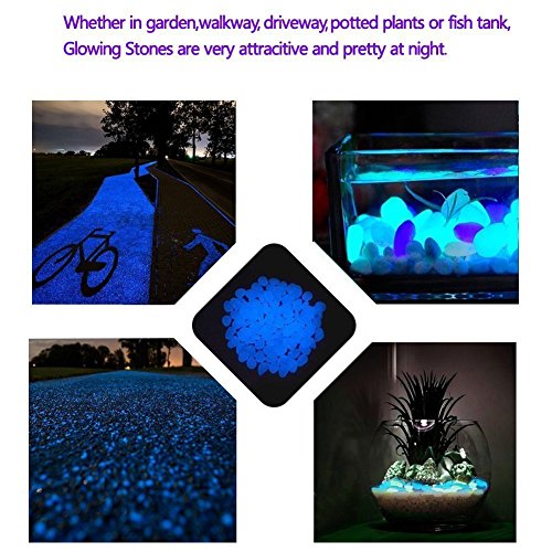 Middletone 100 piedras luminosas piedras fluorescente, se usan para el camino del jardín y la decoración, azul