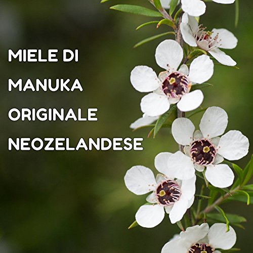 Miel de Manuka 200+ MGO 250g. Producida en Nueva Zelanda, activa y cruda, 100% pura y natural. Metilglioxial probado por laboratorios acreditados. NATURALEPIÙ