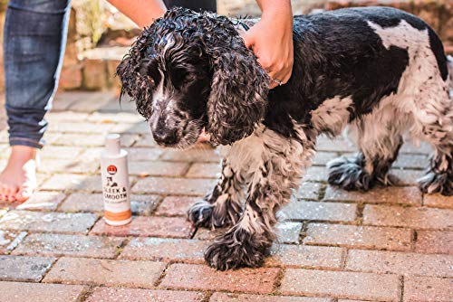 Mikki | Champú para Perros con Pelo Muy Sucio| 250 ml | Fragancia a piña Tropical |