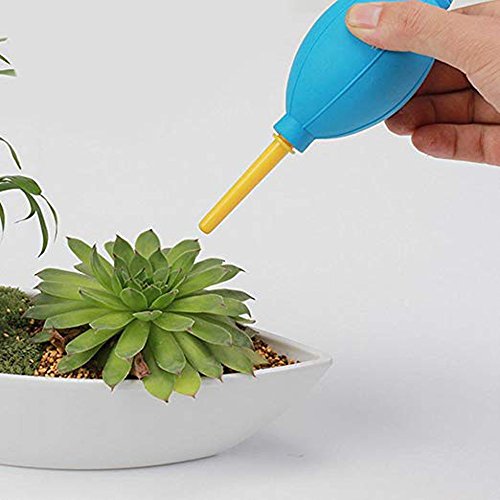 Mini herramientas de mano de jardinería(14 Pcs),Las suculentas herramienta de juego de herramientas de jardinería,Incluyendo las tijeras de podar,hervidores de agua y botellas de spray de pala, etc.