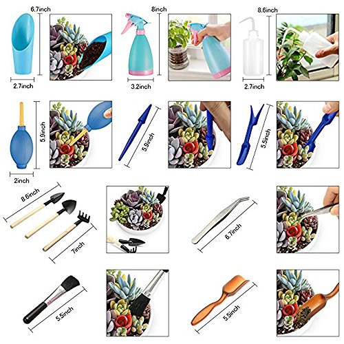 Mini herramientas de mano de jardinería(14 Pcs),Las suculentas herramienta de juego de herramientas de jardinería,Incluyendo las tijeras de podar,hervidores de agua y botellas de spray de pala, etc.
